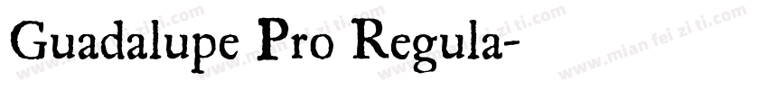 Guadalupe Pro Regula字体转换